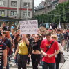 Marche citoyenne anti-FN à Strasbourg, 29 mai. Photo Geneviève DAUNE-ANGLARD