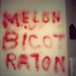 melon bicot raton01